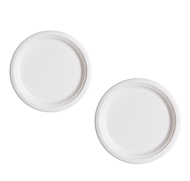 Custom Printed Sugarcane Plates